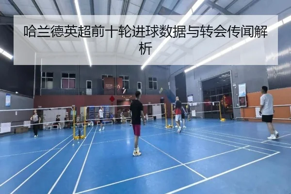 哈兰德英超前十轮进球数据与转会传闻解析
